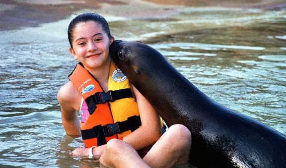 los niÃ±os amarÃ¡n a los leones marinos 