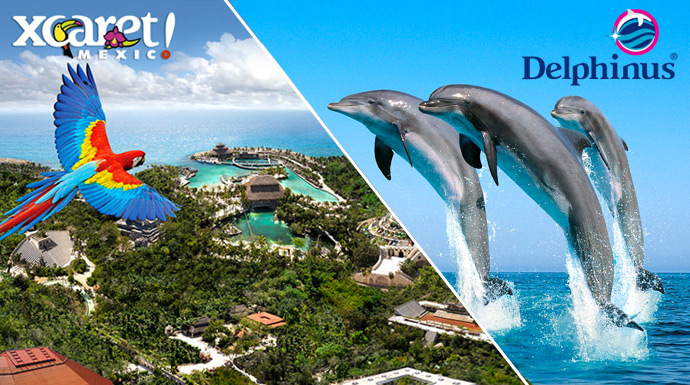 Parque Xcaret y Nado con delfines en un combo tour