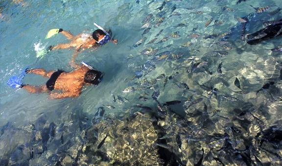 tour de snorkel