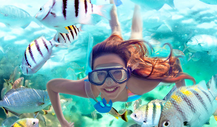 Snorkeling paradise