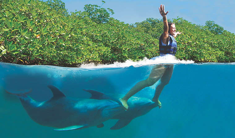 Paseo con delfines impulsado en los pies