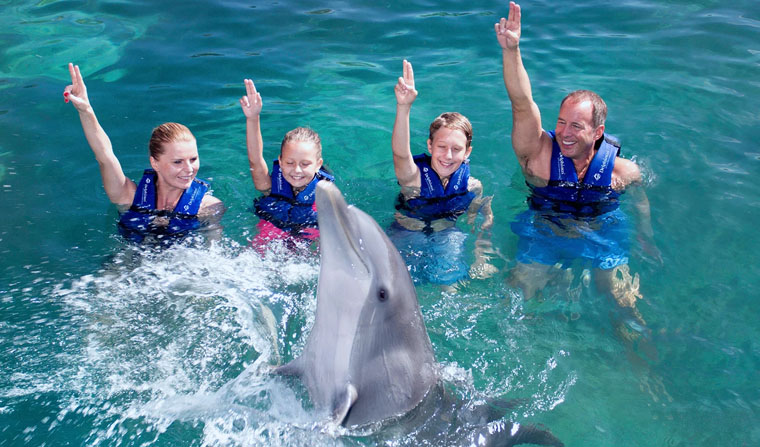 Interacting with dolphins